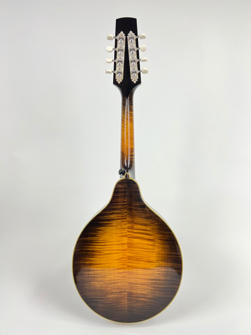 2009 Heiden Artist A5 Mandolin