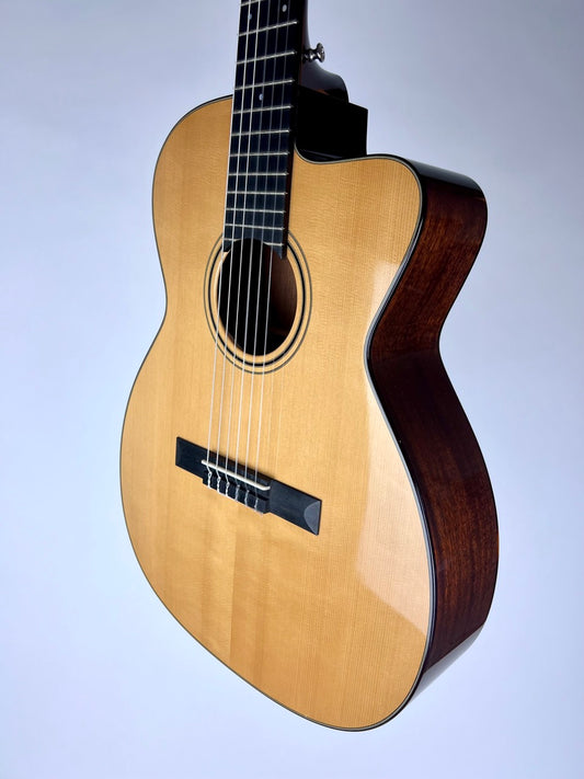 2012 John Allison OM Custom Nylon