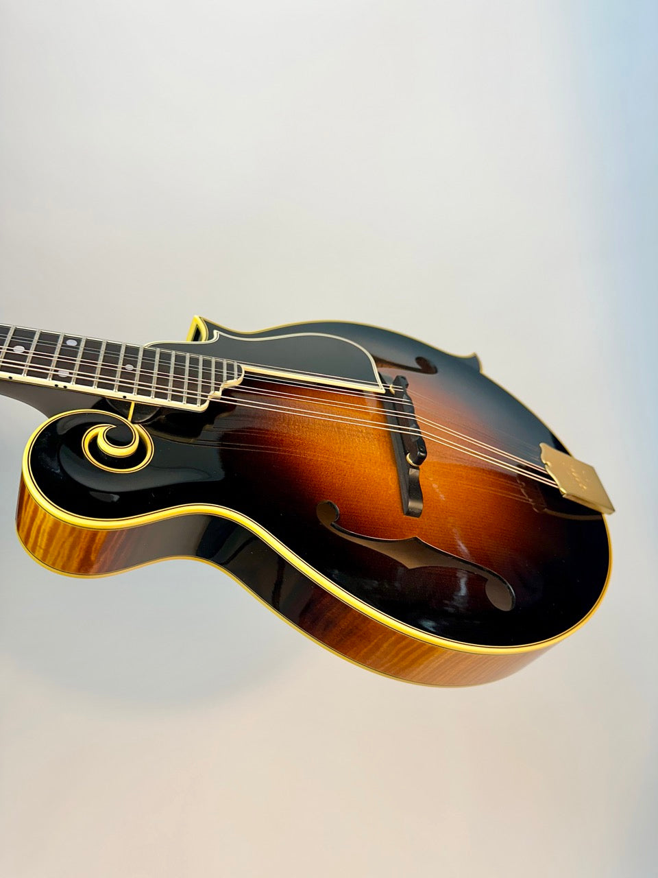 2014 Ellis F5
