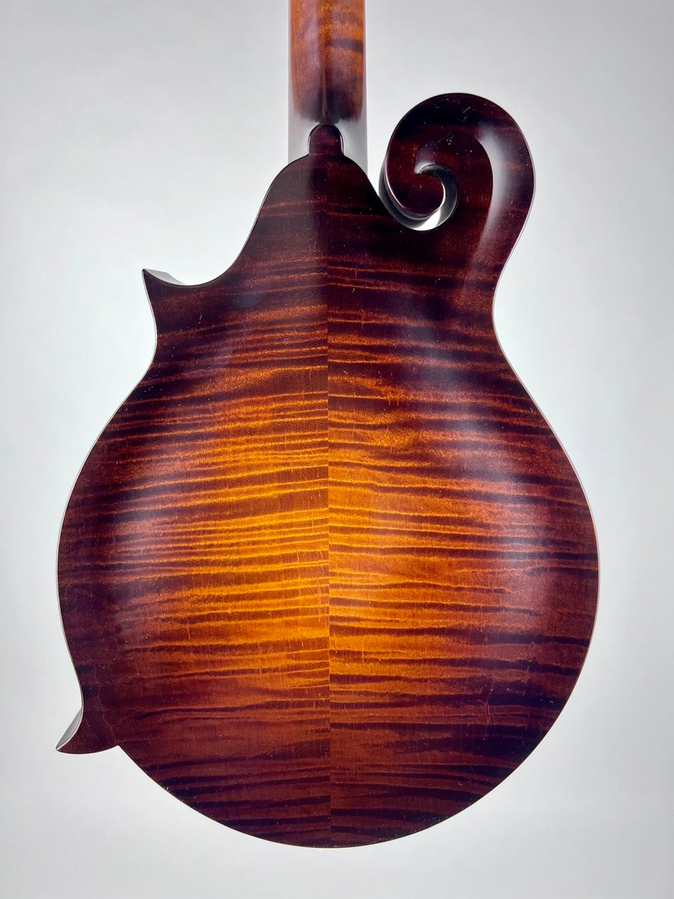 2017 Collings MF Wide Nut