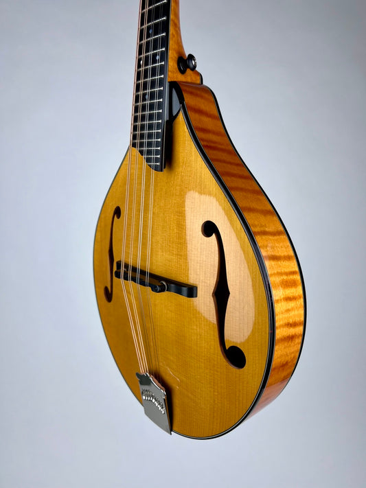 2018 Collings MT2 Honey Amber Tortoise Mandolin