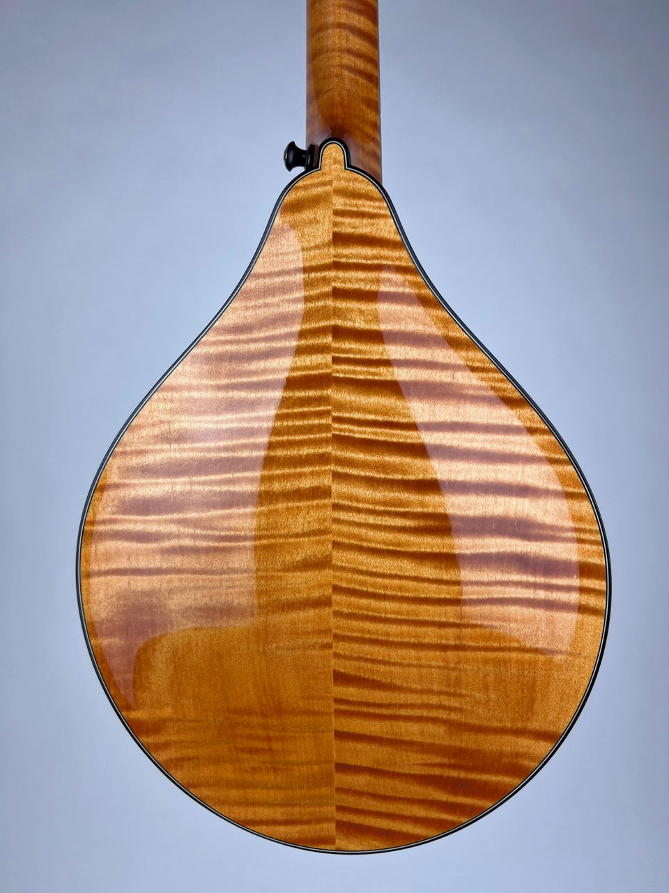 2018 Collings MT2 Honey Amber Tortoise Mandolin