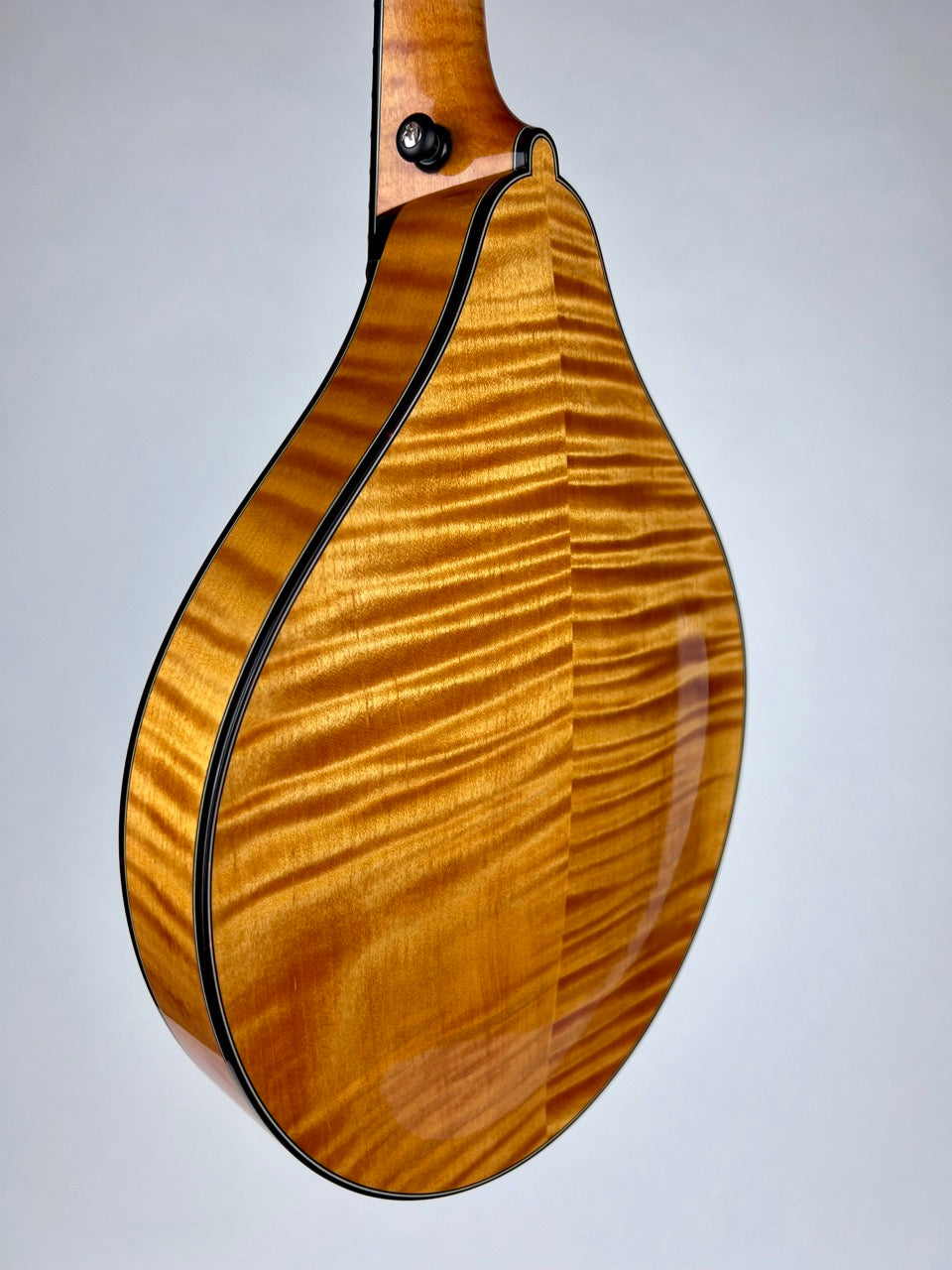 2018 Collings MT2 Honey Amber Tortoise Mandolin