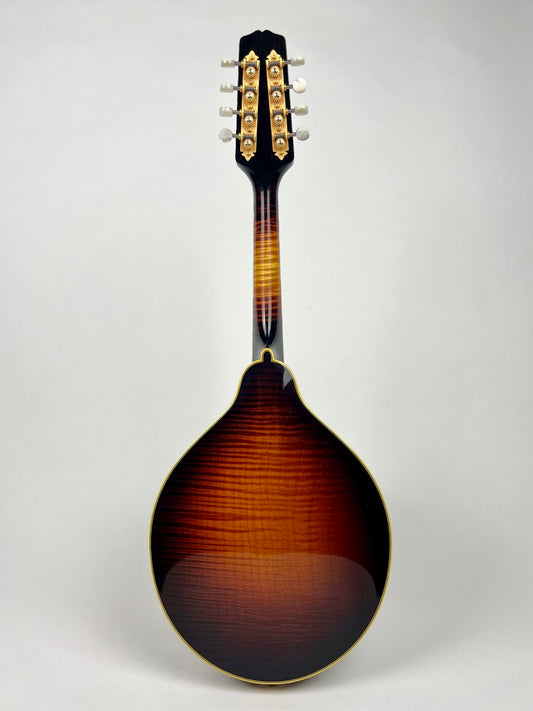 2018 Ellis A5 Special