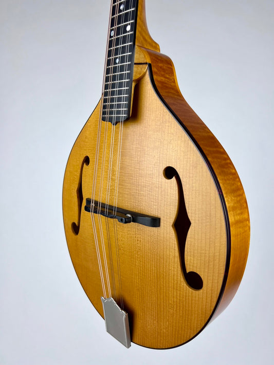 2019 Pava A5 Satin Wide Nut Mandolin