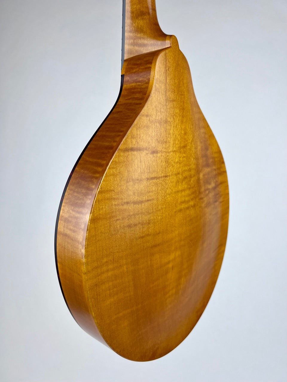 2019 Pava A5 Satin Wide Nut Mandolin