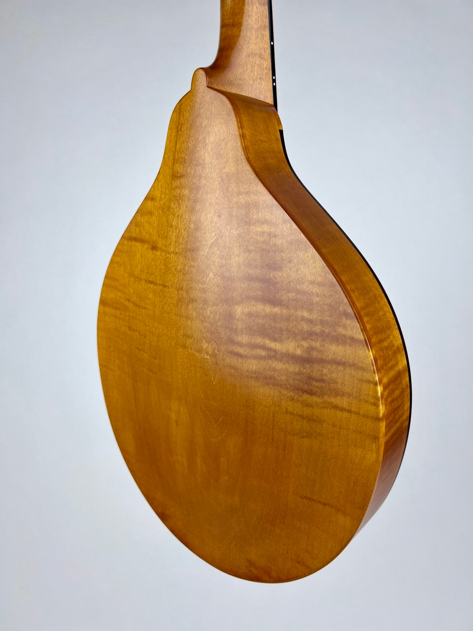 2019 Pava A5 Satin Wide Nut Mandolin
