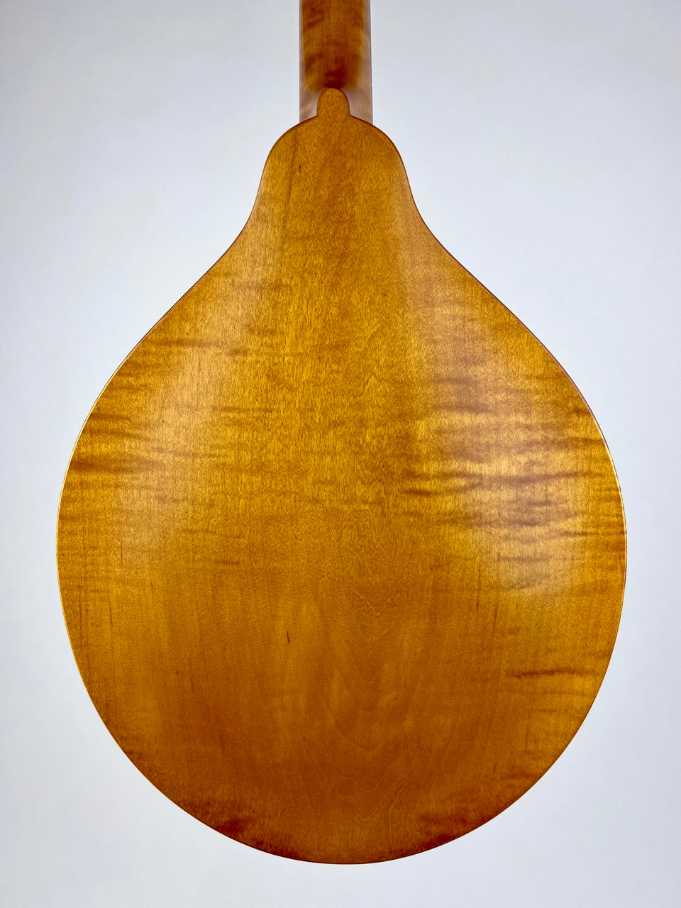 2019 Pava A5 Satin Wide Nut Mandolin