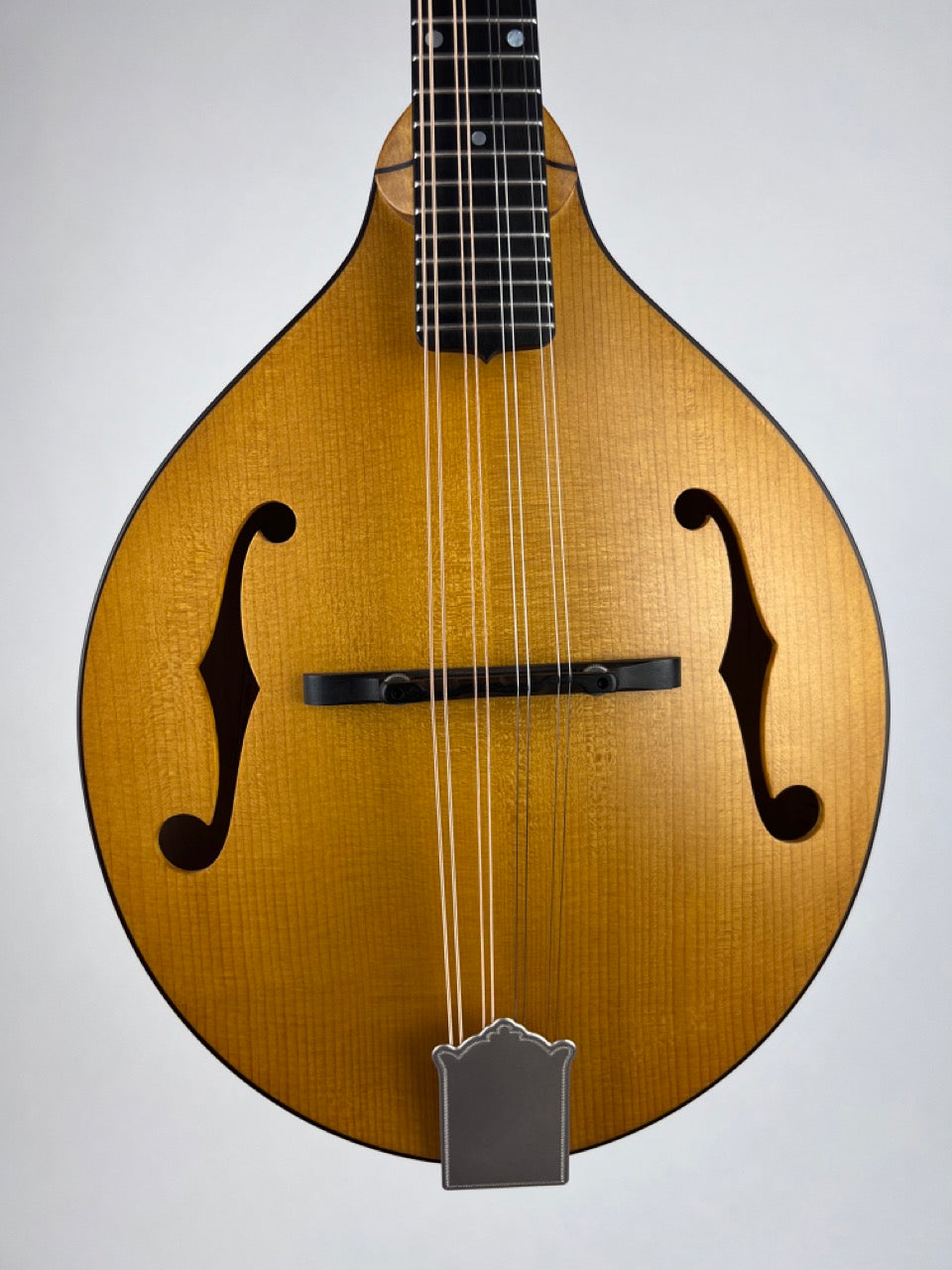 2019 Pava A5 Satin Wide Nut Mandolin