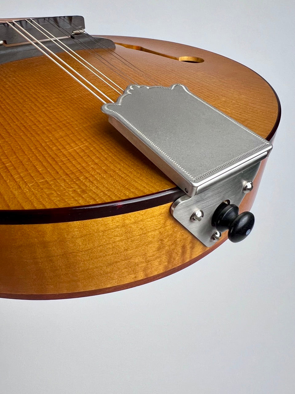 2019 Pava A5 Satin Wide Nut Mandolin