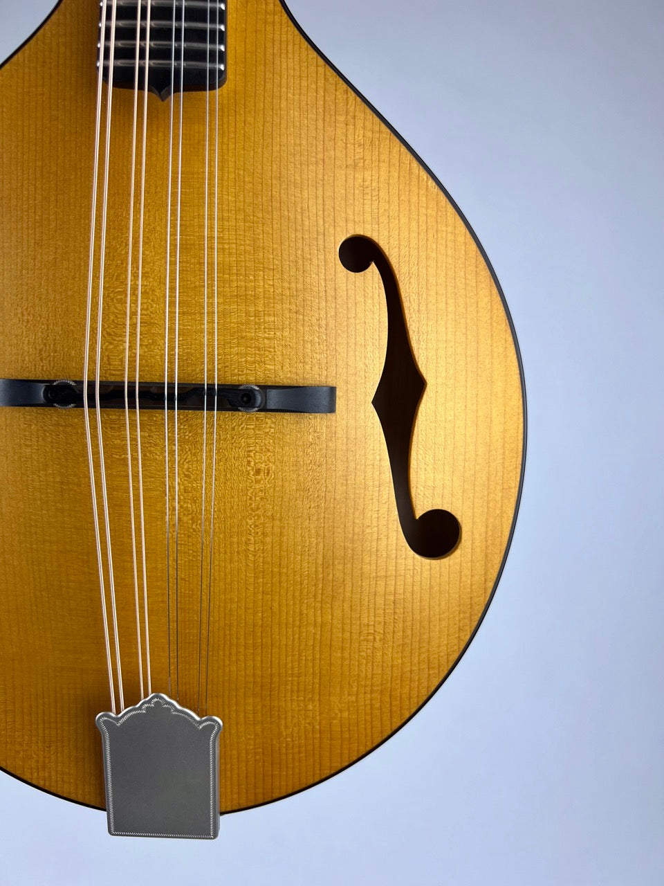2019 Pava A5 Satin Wide Nut Mandolin