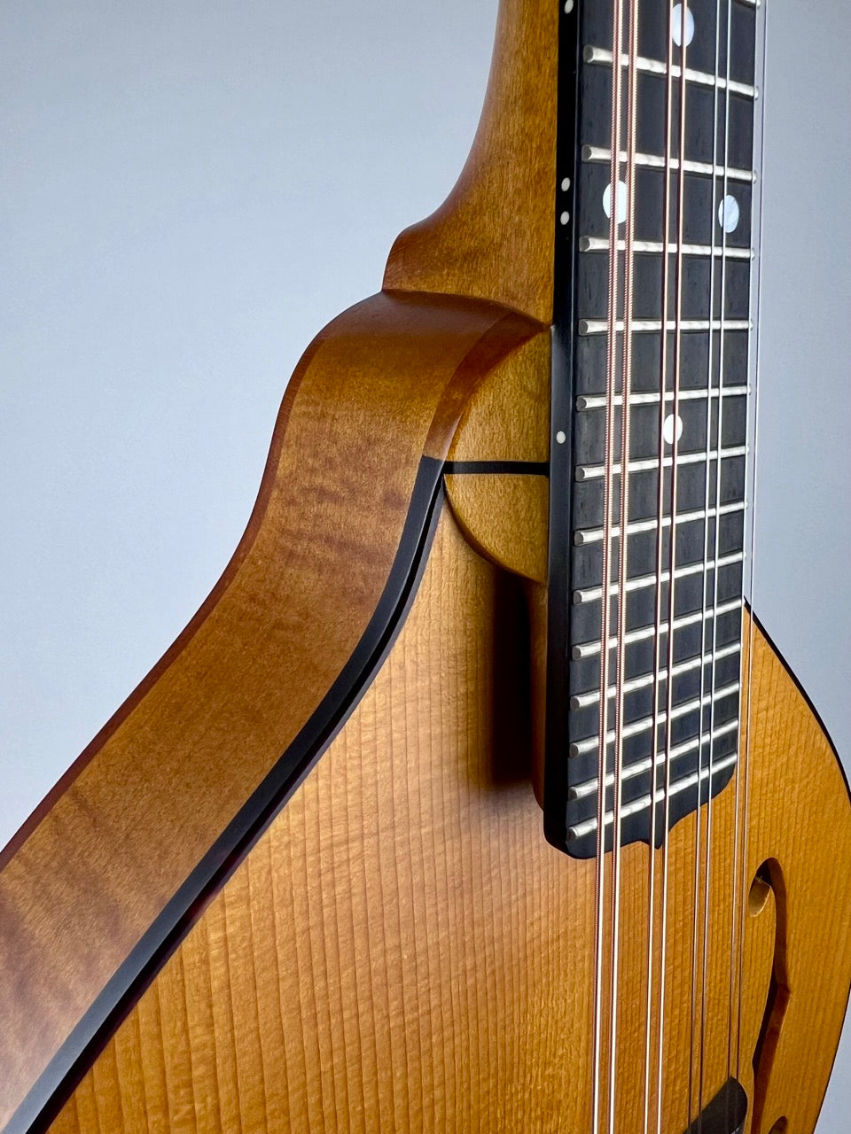 2019 Pava A5 Satin Wide Nut Mandolin