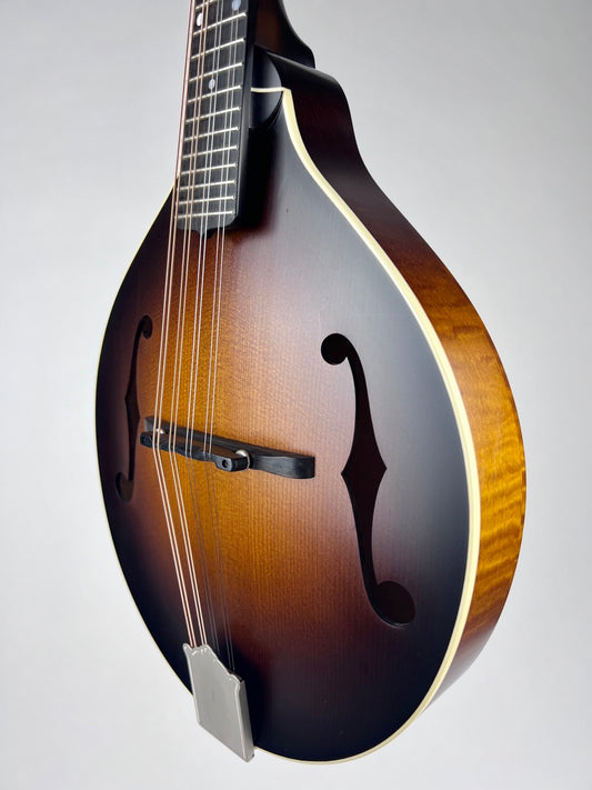 2021 Pava A5 Satin Mandolin - Torrified