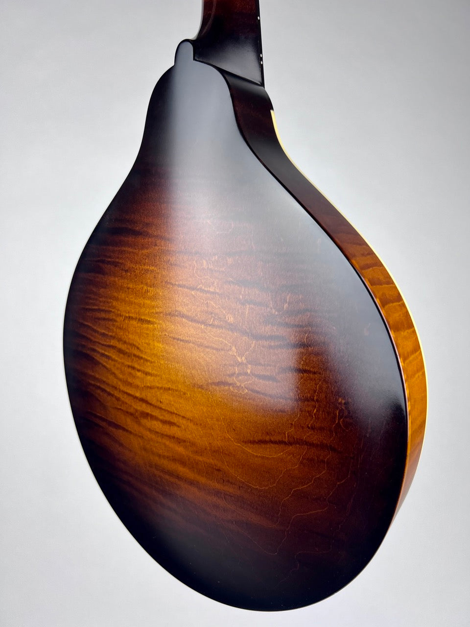 2021 Pava A5 Satin Mandolin - Torrified