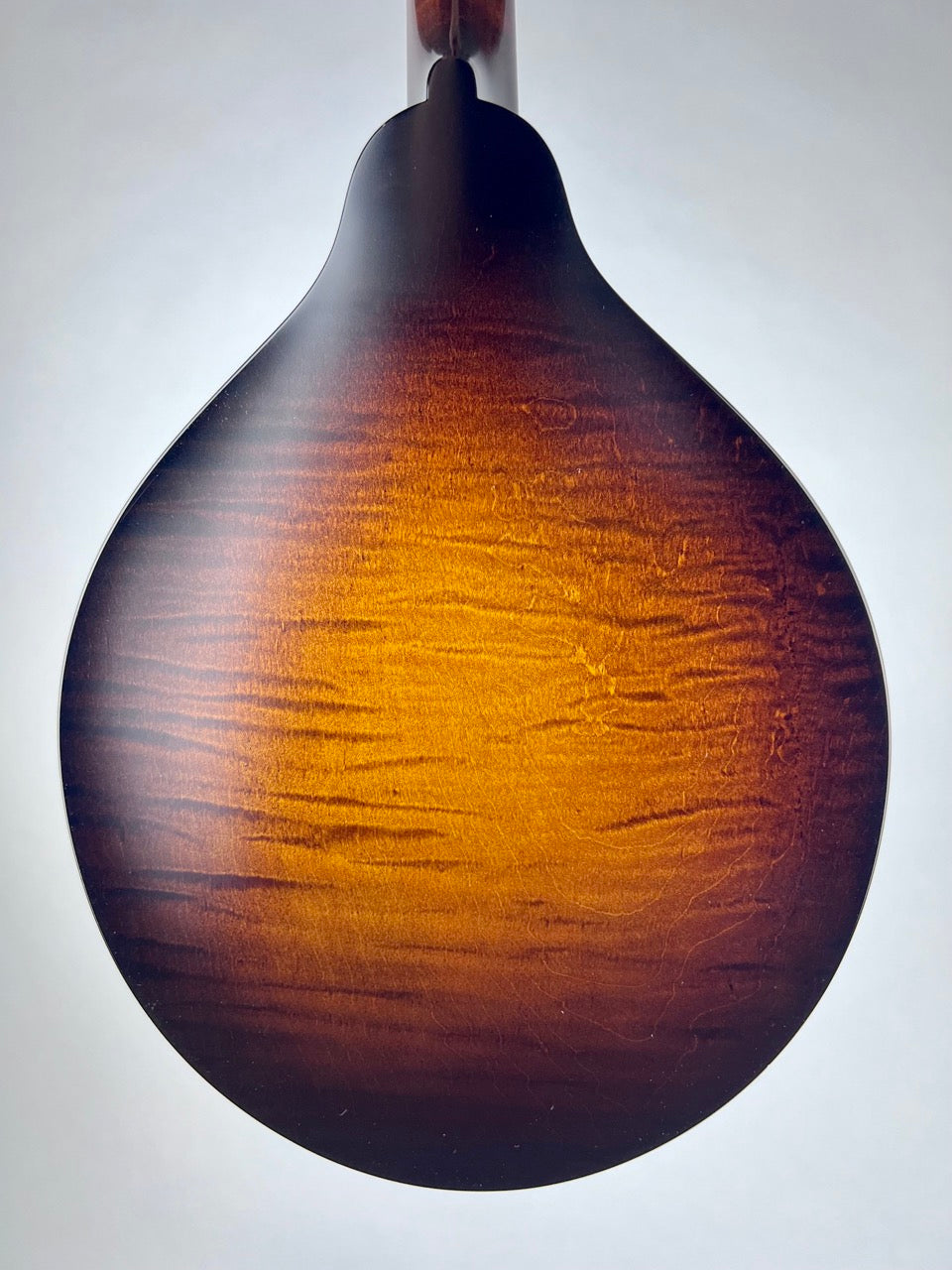 2021 Pava A5 Satin Mandolin - Torrified