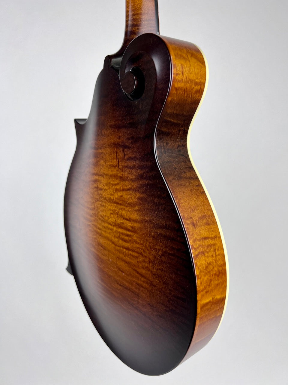 2022 Pava Satin F5 - Wide Nut/Torrified Mandolin