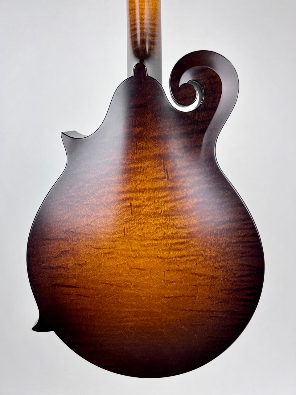 2022 Pava Satin F5 - Wide Nut/Torrified Mandolin