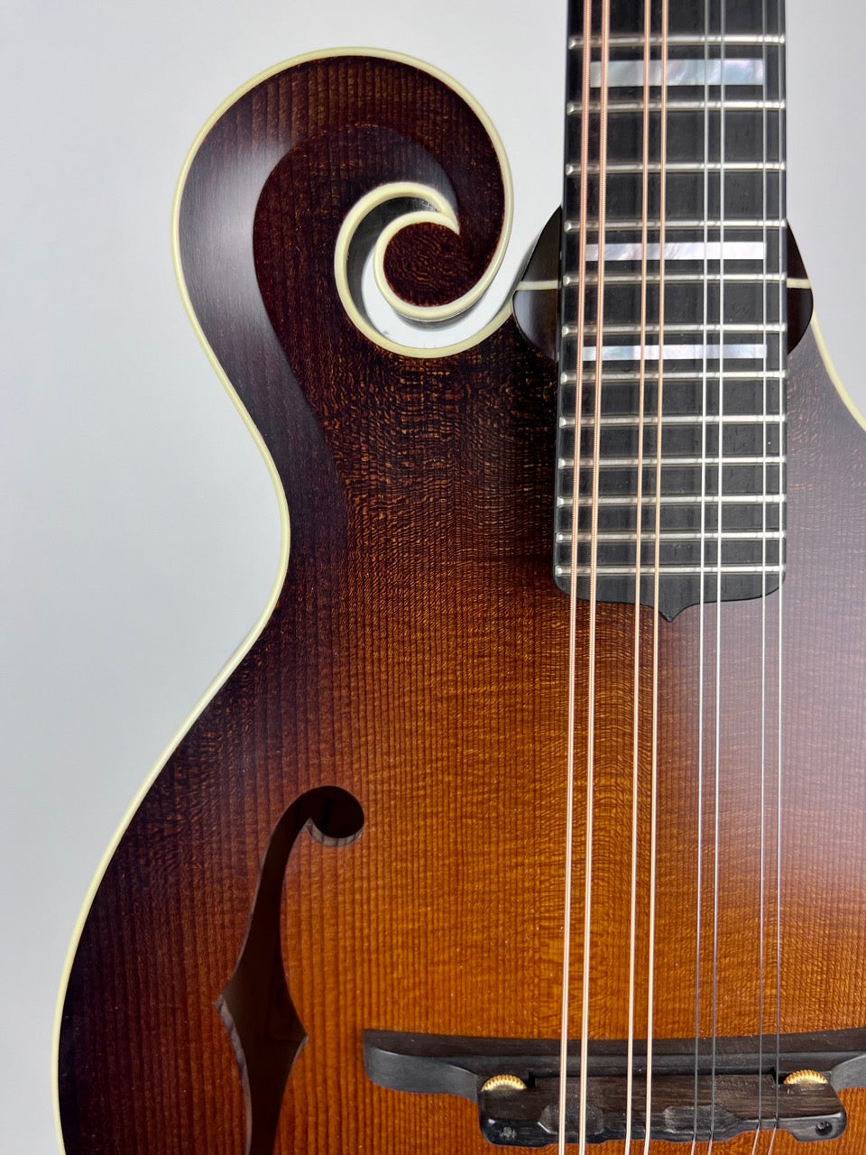2022 Pava Satin F5 - Wide Nut/Torrified Mandolin