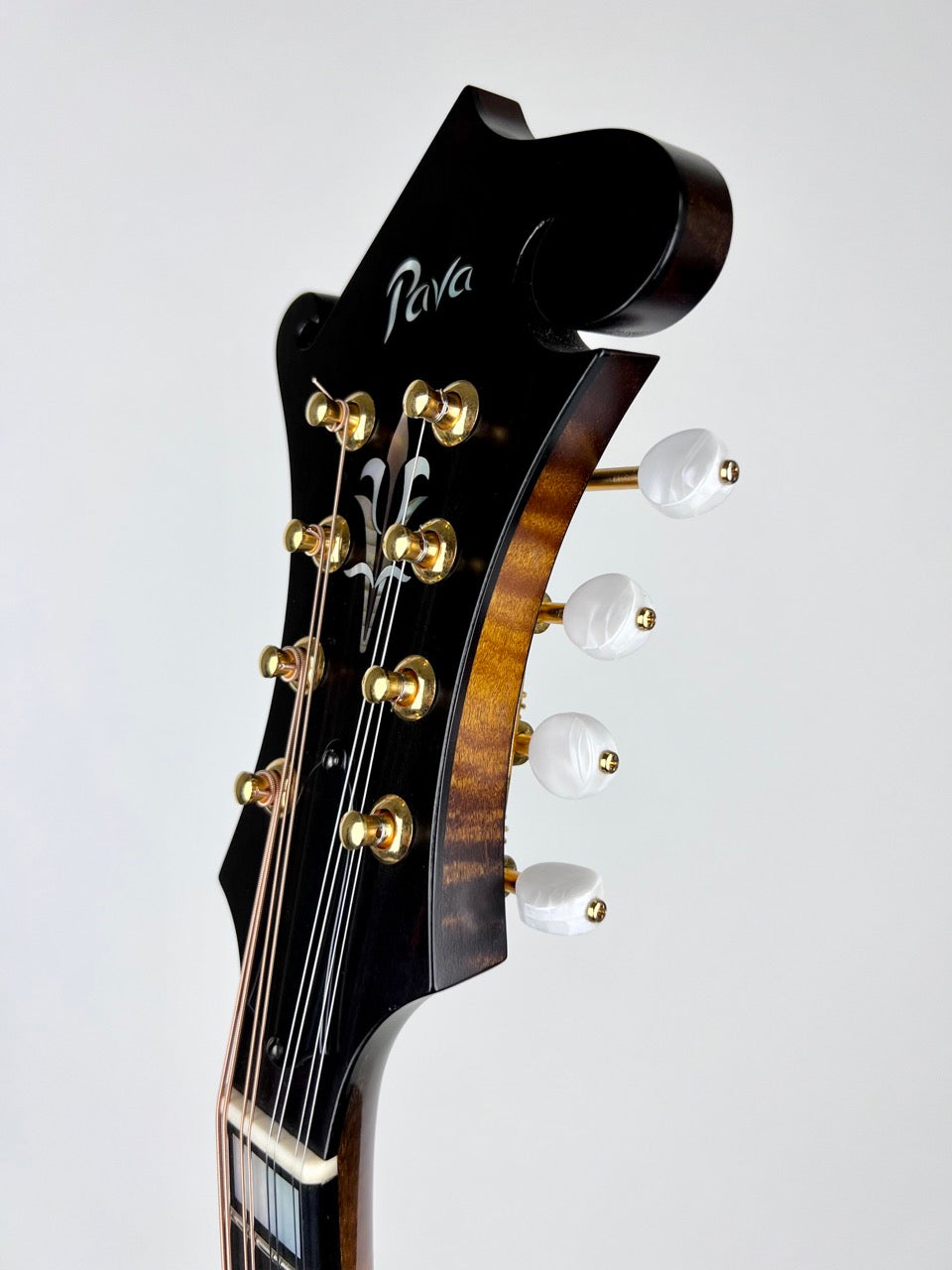 2022 Pava Satin F5 - Wide Nut/Torrified Mandolin
