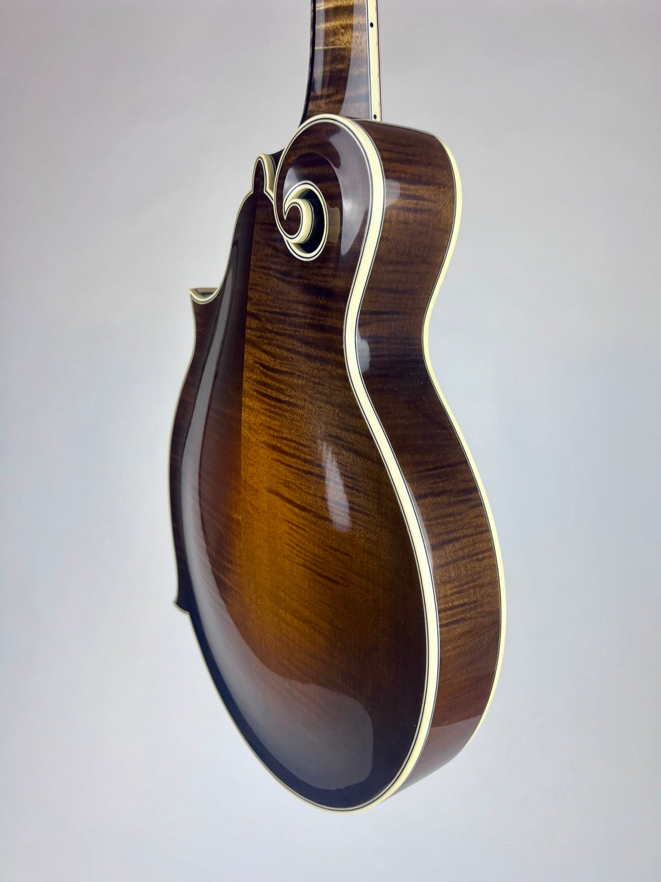 2023 Northfield 5-Bar Artist F5 Mandolin Italian Spruce