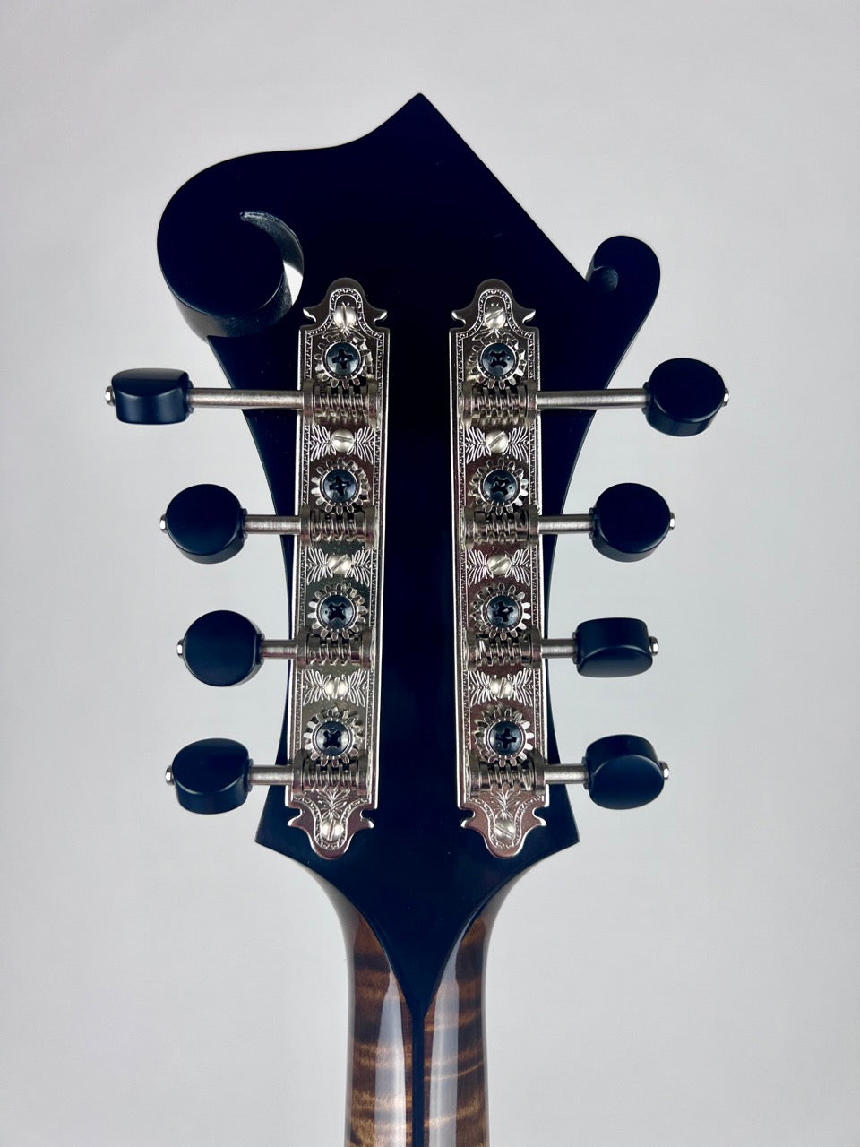 2023 Northfield 5-Bar Artist F5 Mandolin Italian Spruce