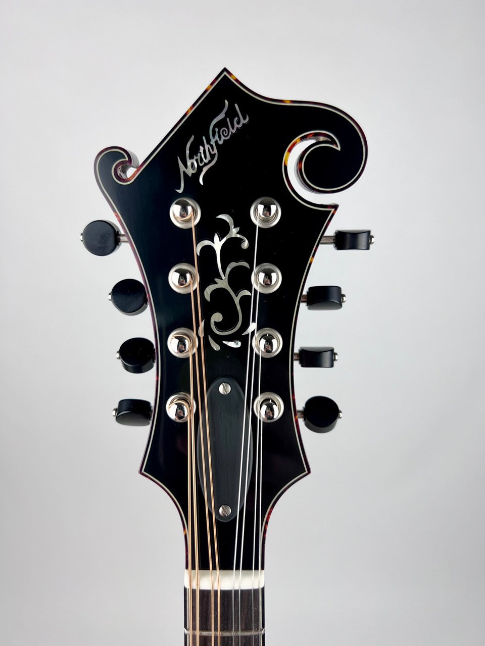2023 Northfield Big Mon - Amber/Adirondack Mandolin