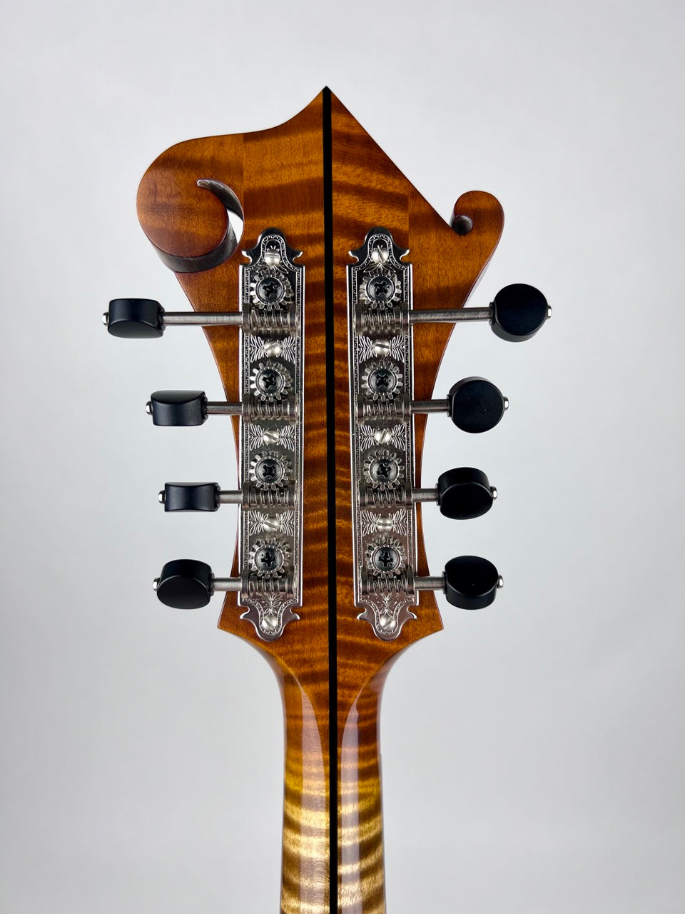 2023 Northfield Big Mon - Amber/Adirondack Mandolin