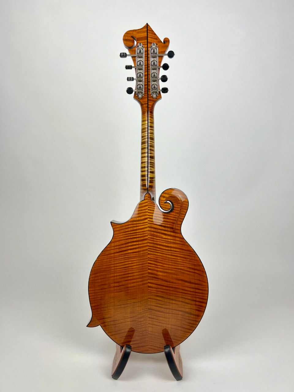 2023 Northfield Big Mon - Amber/Adirondack Mandolin