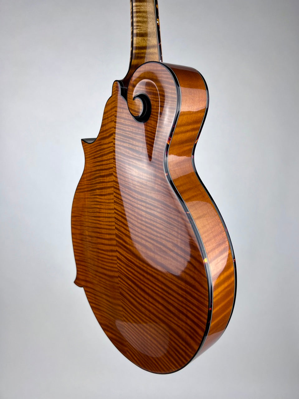 2023 Northfield Big Mon - Amber/Adirondack Mandolin