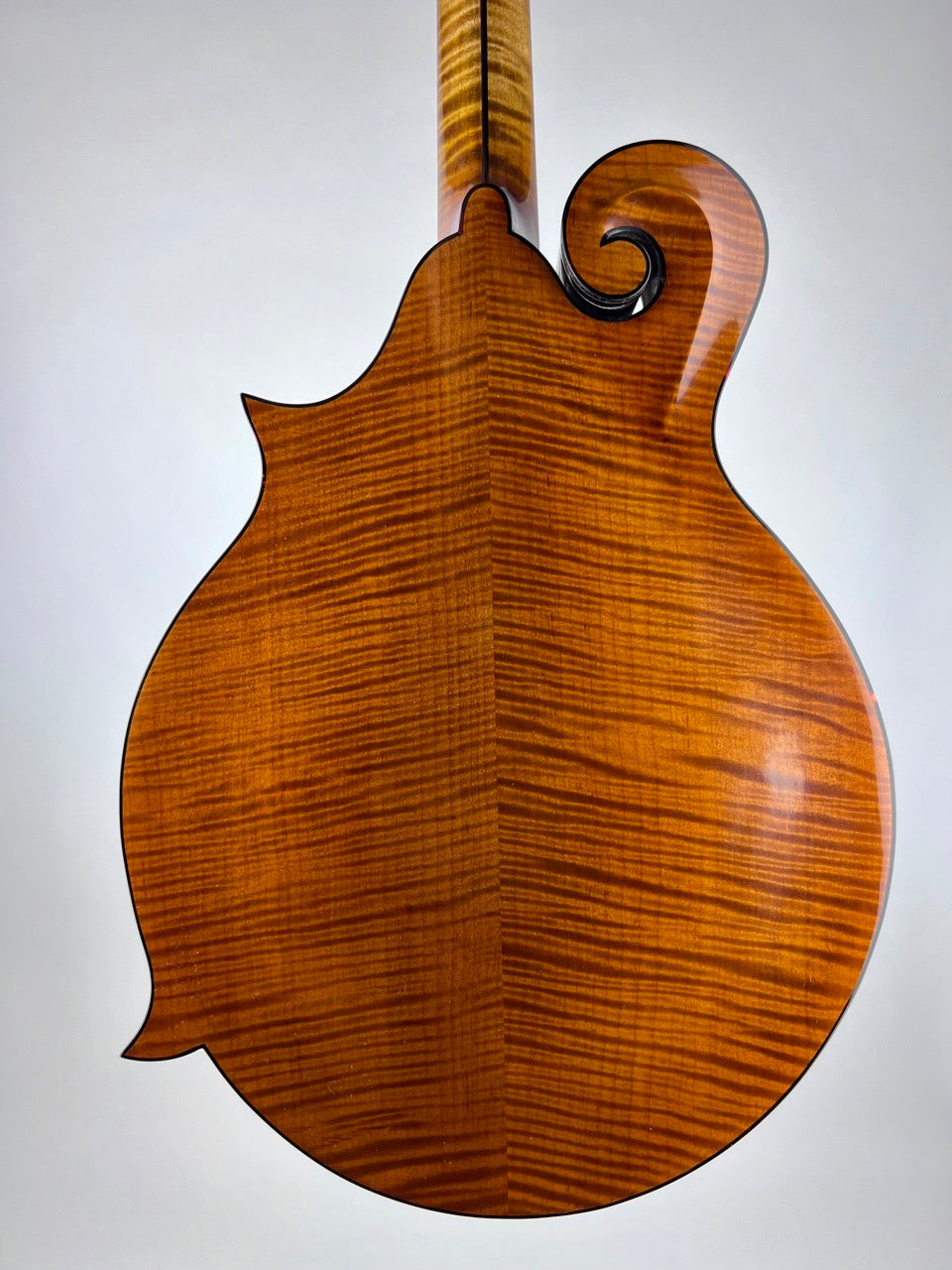 2023 Northfield Big Mon - Amber/Adirondack Mandolin