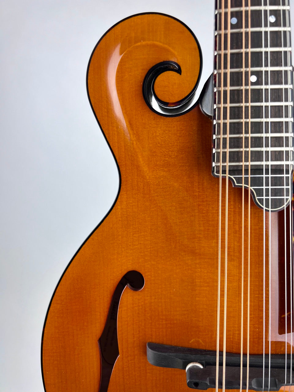 2023 Northfield Big Mon - Amber/Adirondack Mandolin