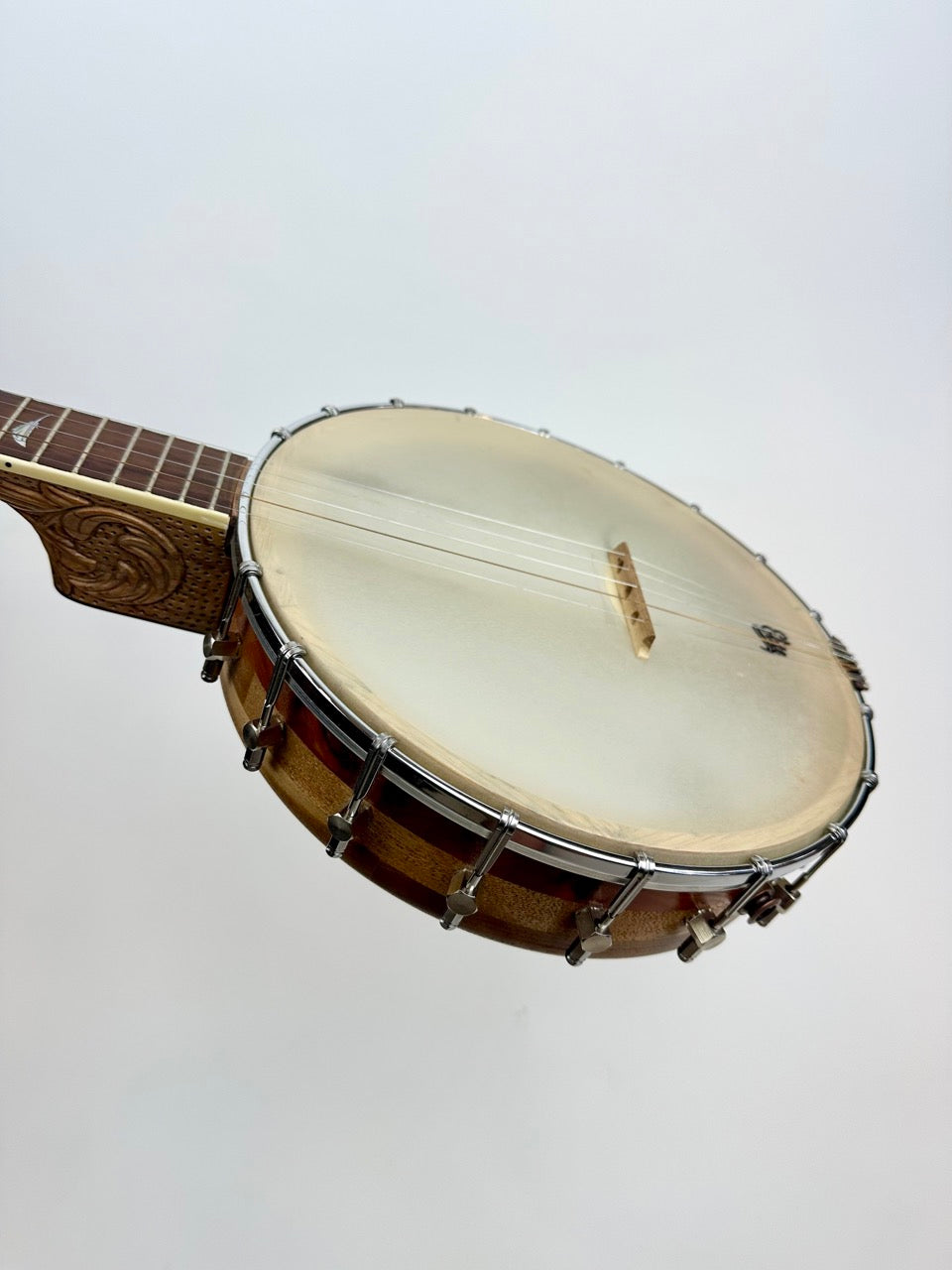 2013 Black Hills Banjo