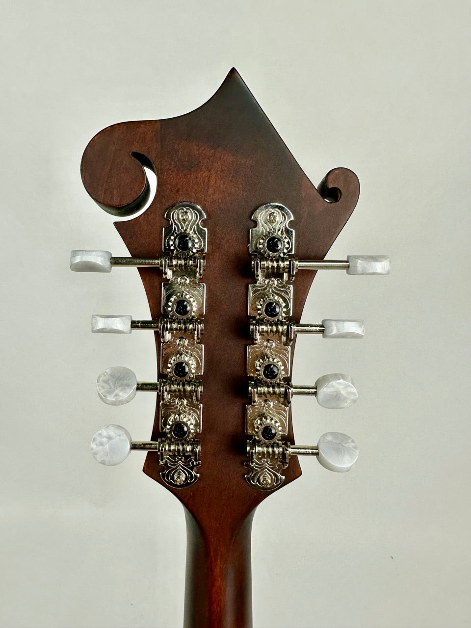 2023 Eastman MD314