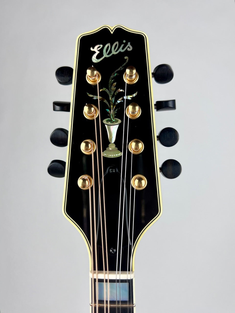 Ellis A5 Special - Cremona Brown