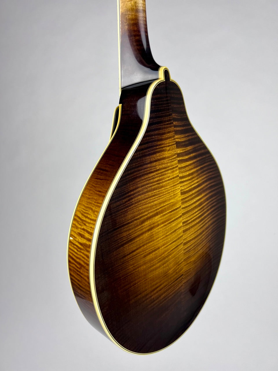 Ellis A5 Special - Cremona Brown
