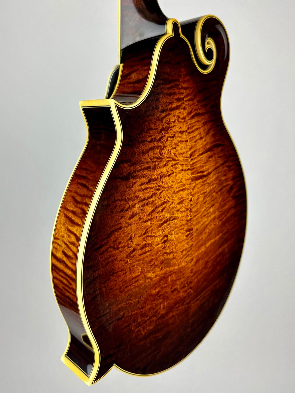 2023 Ellis F5 Custom Special