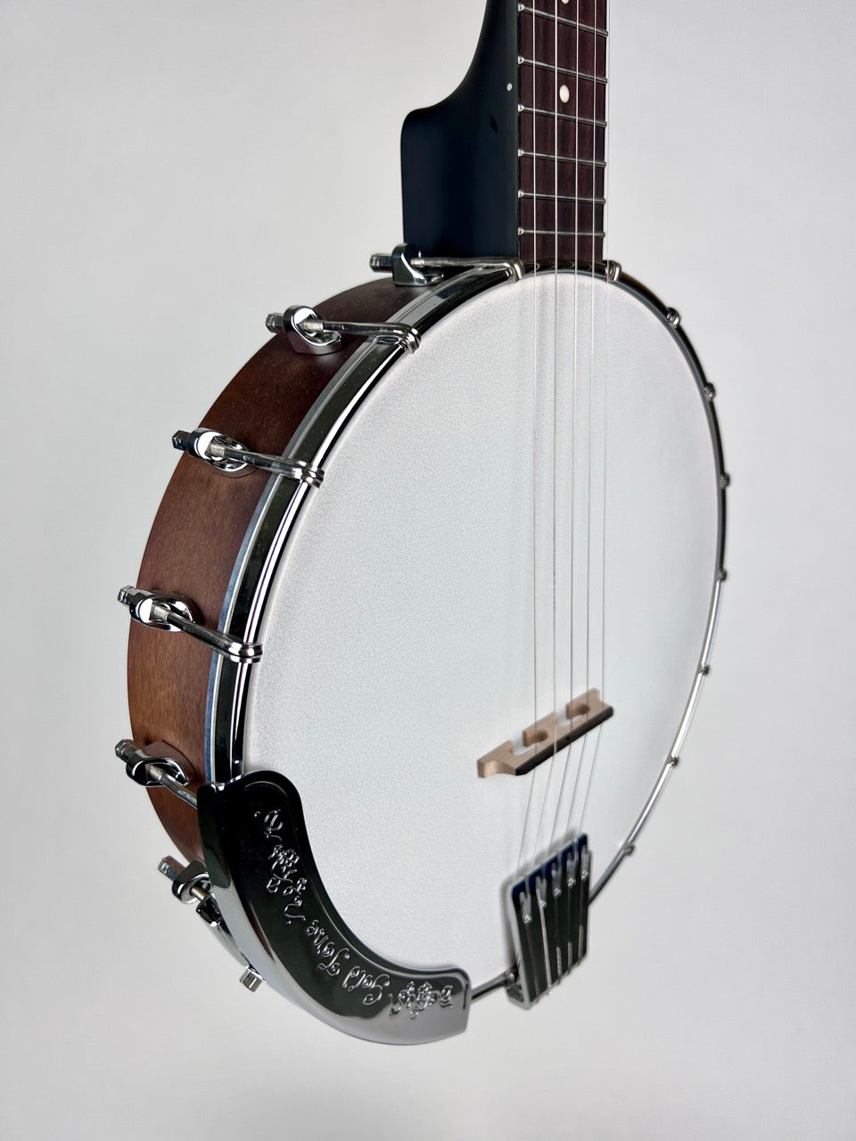 Gold Tone CC-50 Banjo