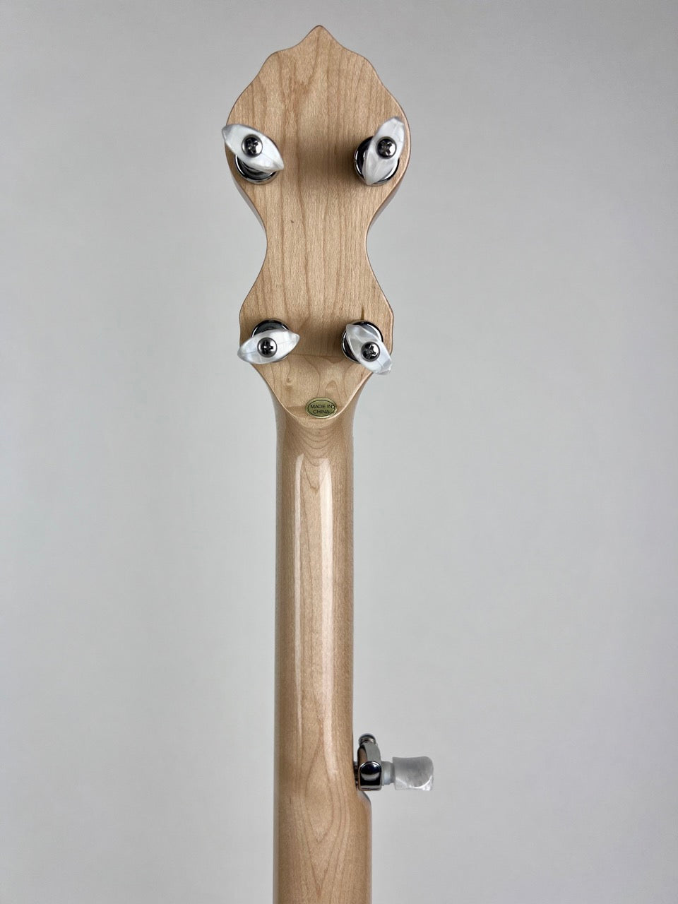 Gold Tone CC-Carlin12 Banjo