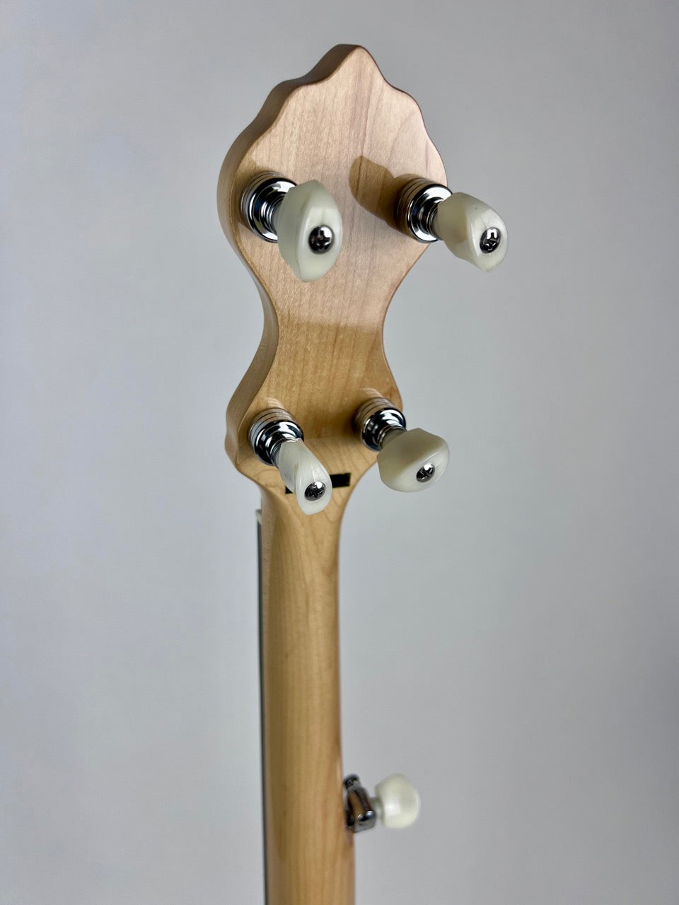 Gold Tone MM-150 Banjo