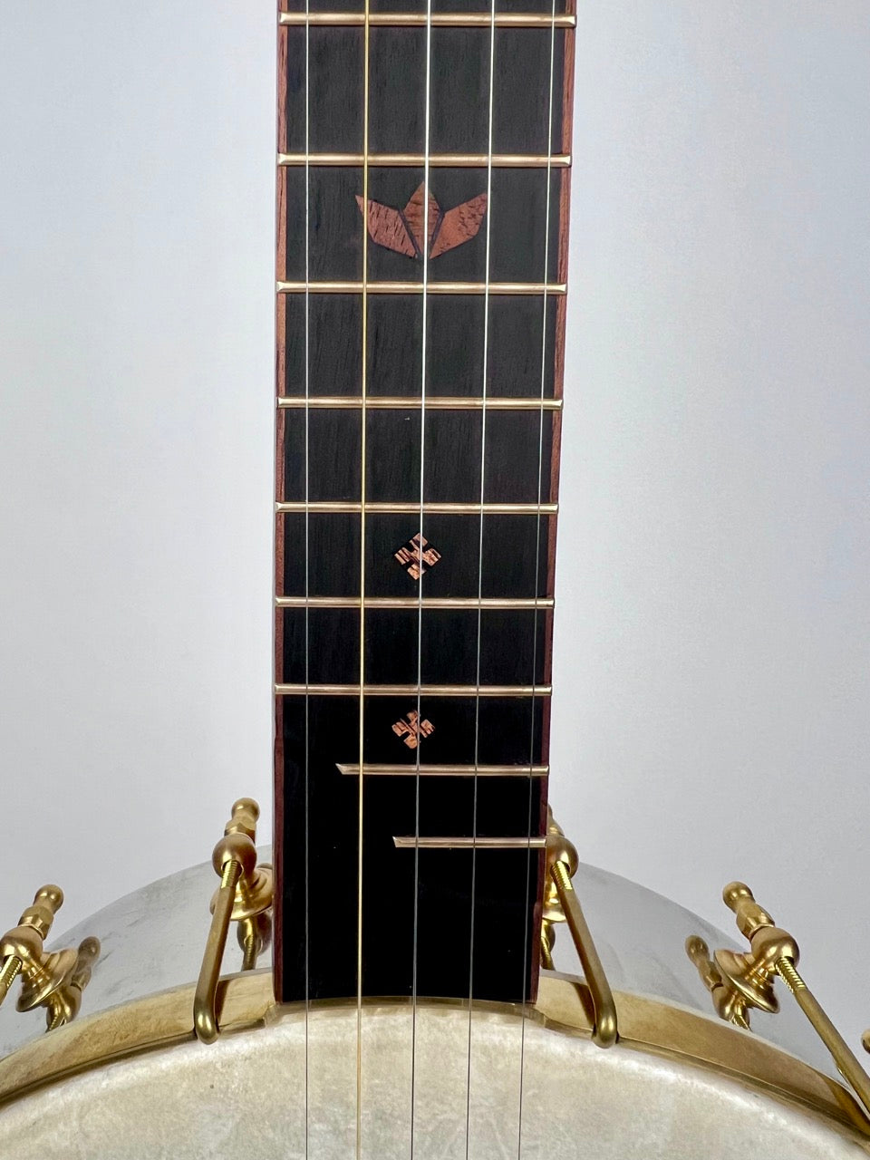 Lindale Banjos - 12" Mahogany Dobson