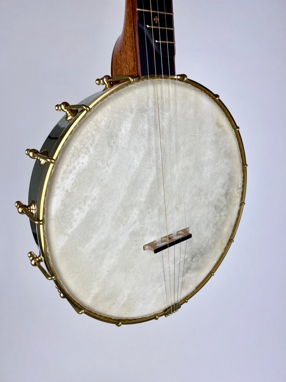 Lindale Banjos - 12" Mahogany Dobson