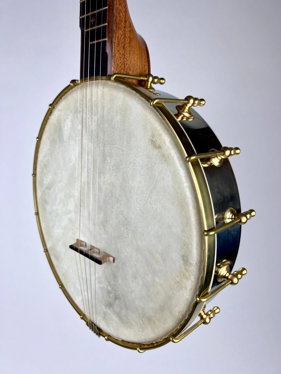 Lindale Banjos - 12" Mahogany Dobson