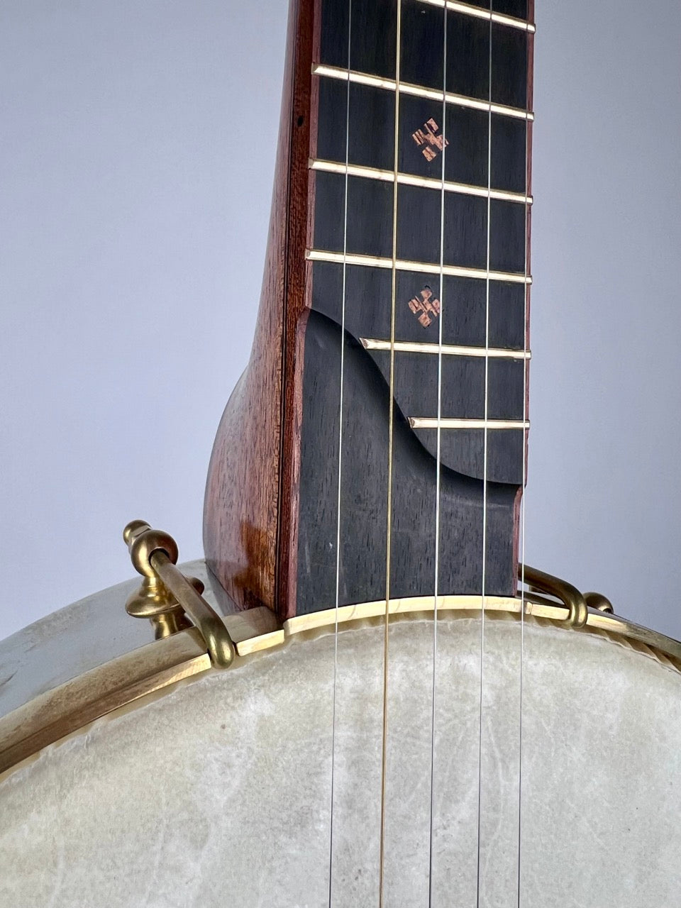 Lindale Banjos - 12" Mahogany Dobson