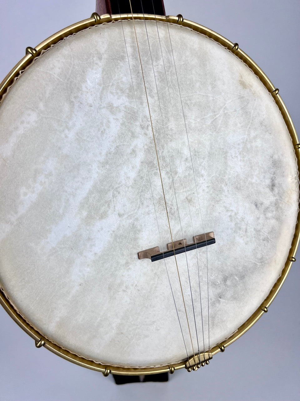 Lindale Banjos - 12" Mahogany Dobson