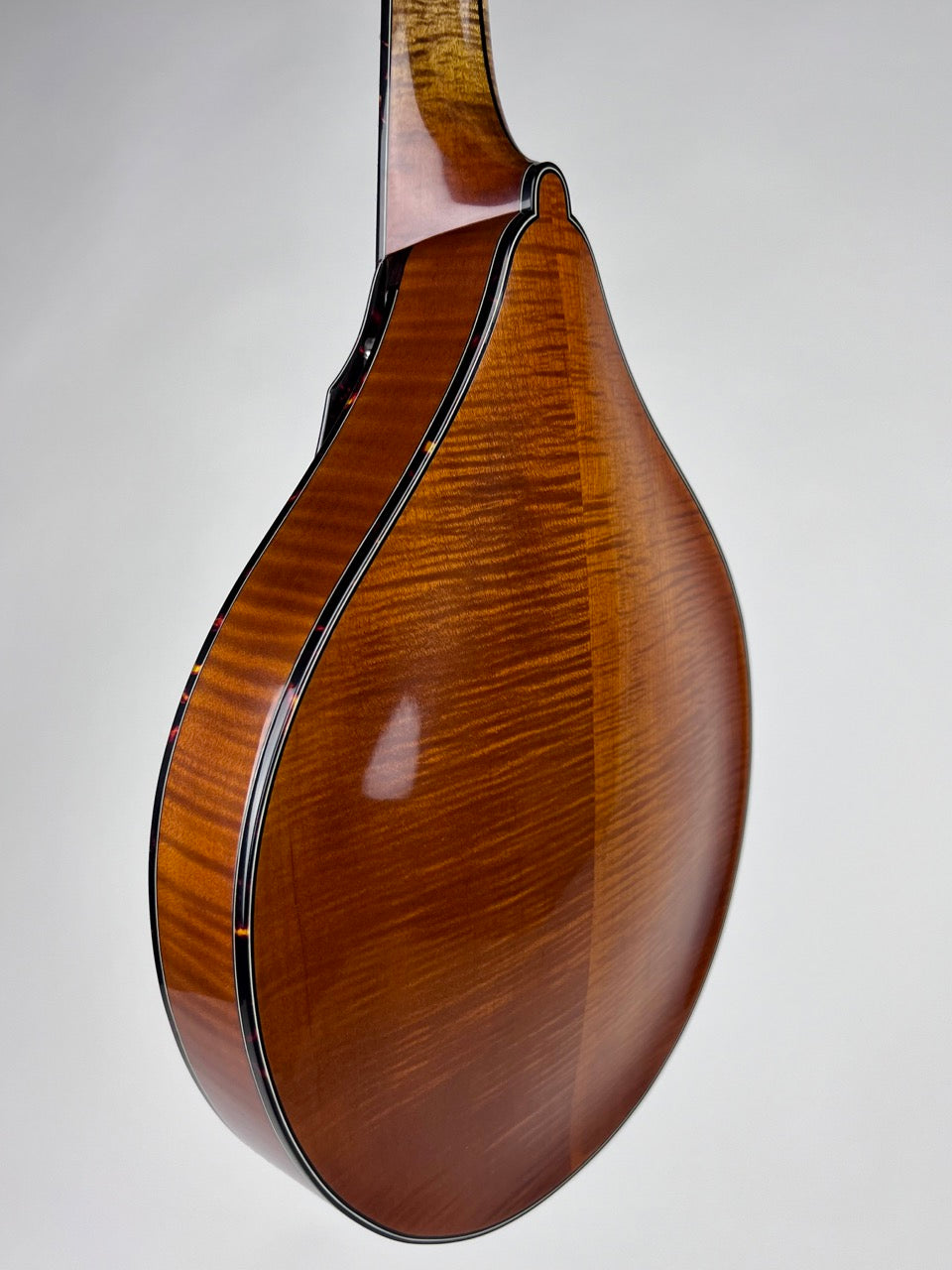 Northfield A5 Special Amber Mandolin