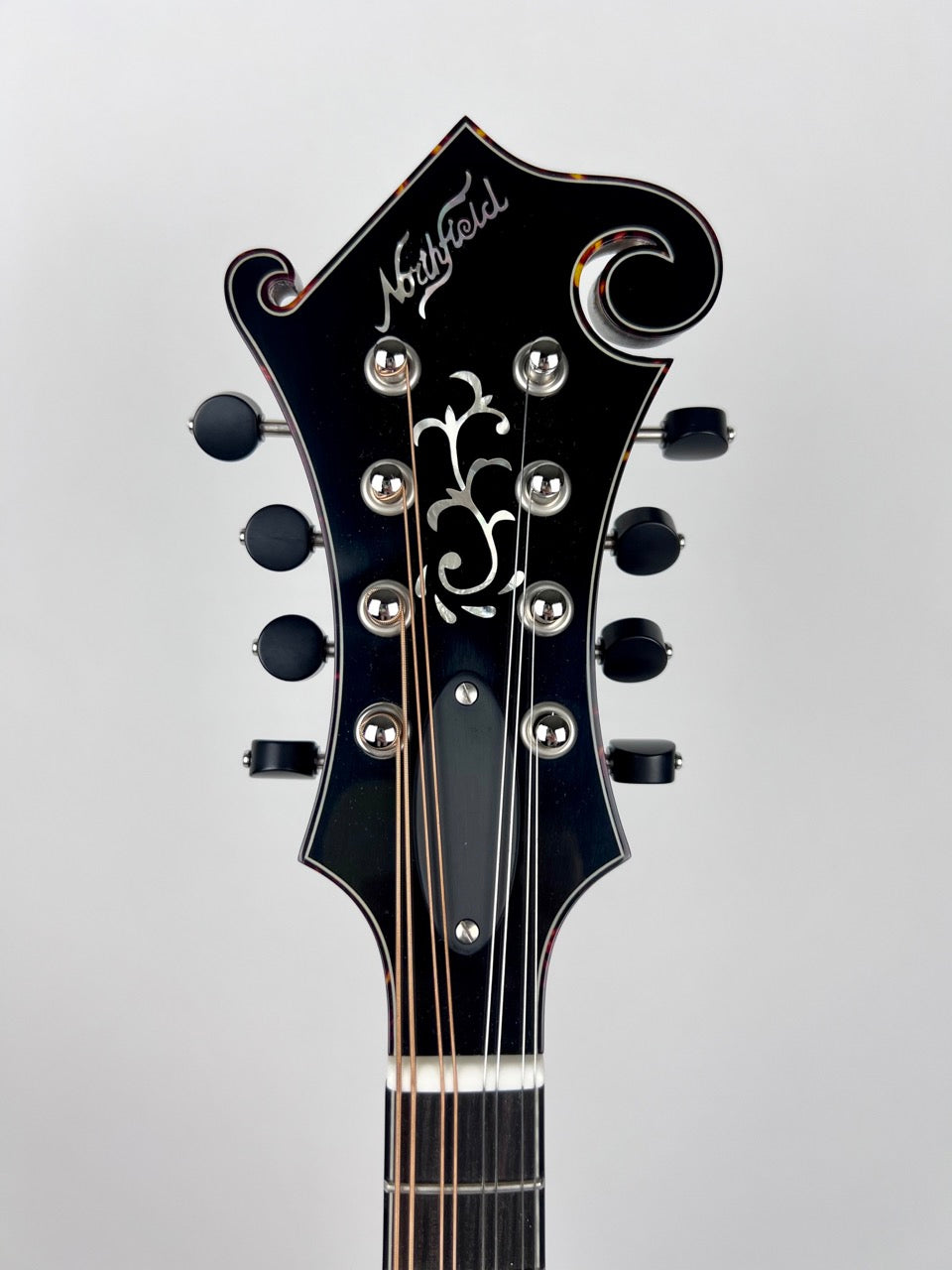 Northfield Big Mon Mandolin Adirondack Amber