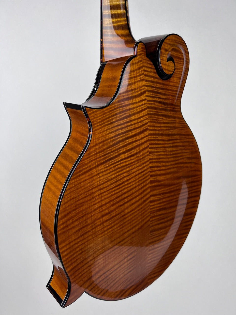 Northfield Big Mon Mandolin Adirondack Amber