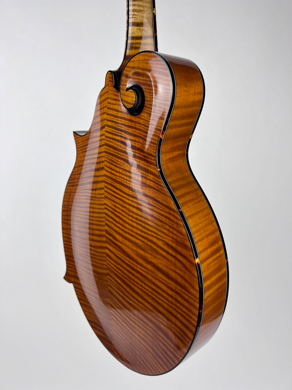 Northfield Big Mon Mandolin Adirondack Amber