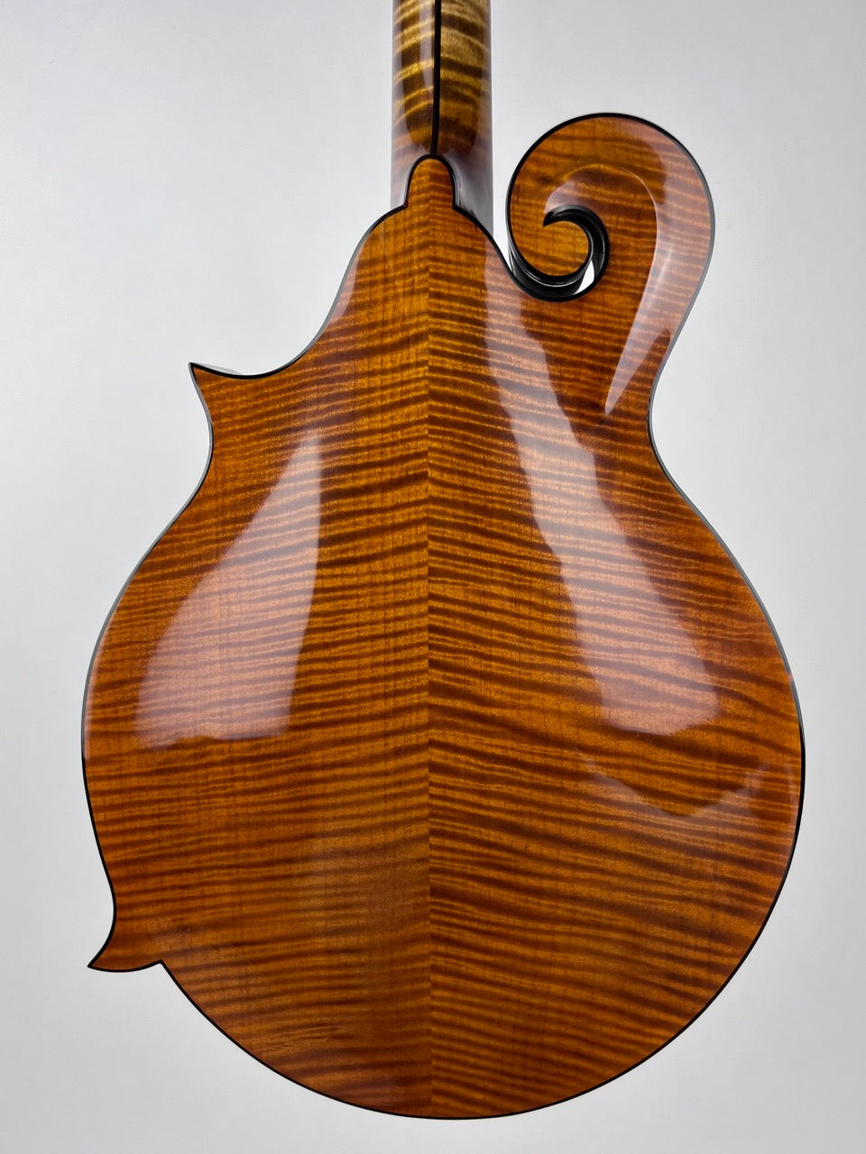 Northfield Big Mon Mandolin Adirondack Amber
