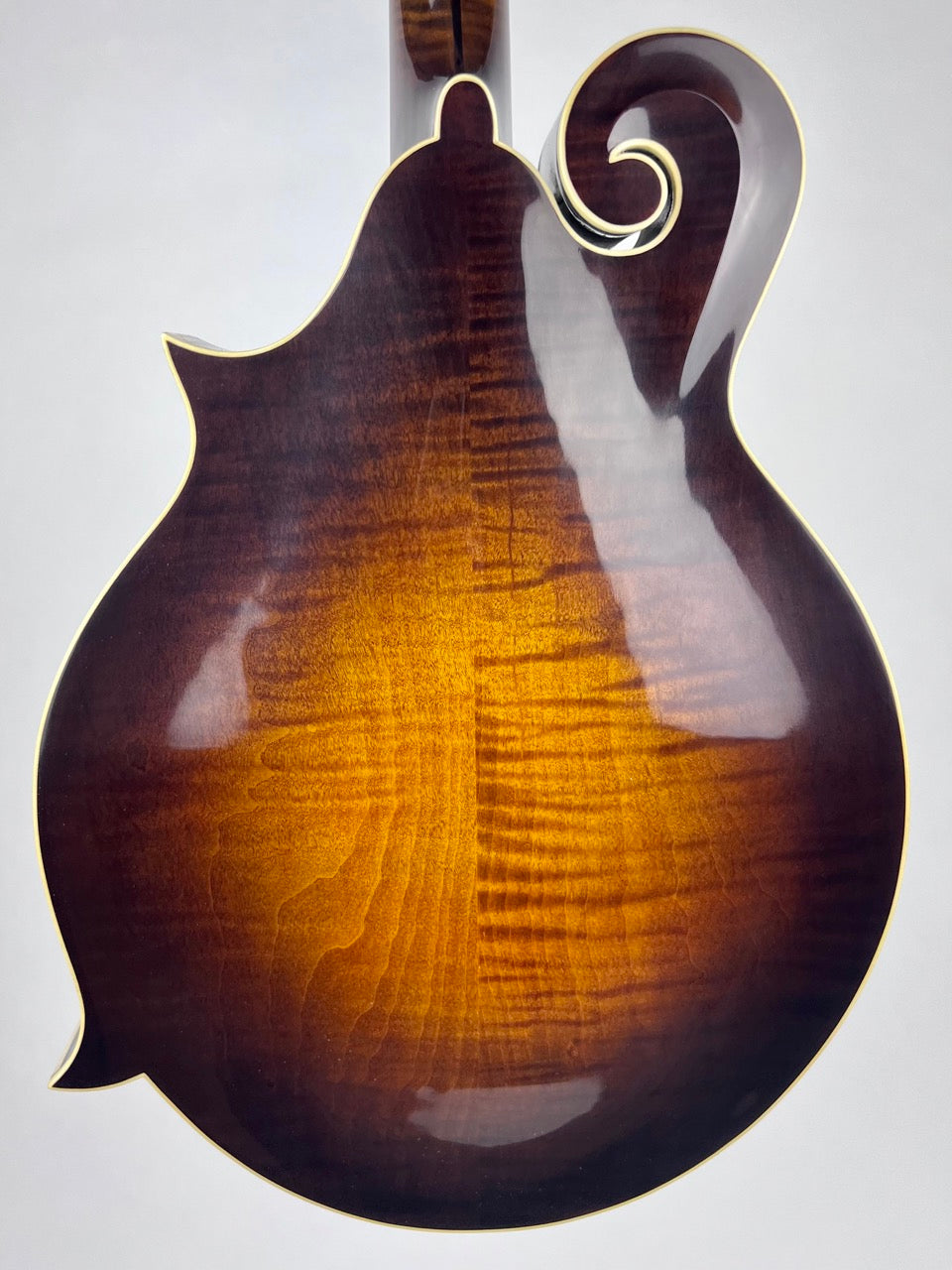 Northfield Big Mon Adirondack Mandolin